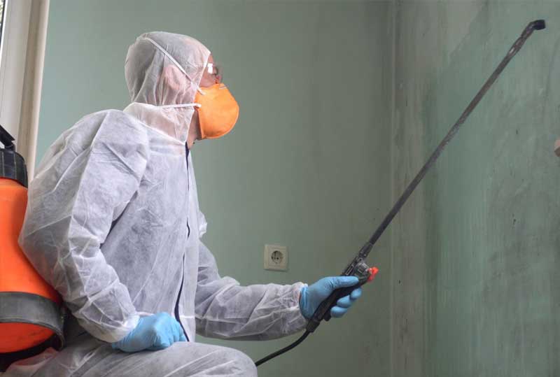 Mold.1.2408211131550